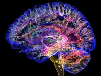 大屌操麻P大脑植入物有助于严重头部损伤恢复